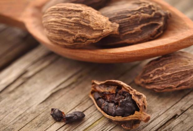 Quả dại ở quê không ai ăn không ngờ là "mỏ vàng", 300.000 đồng/kg- Ảnh 3.