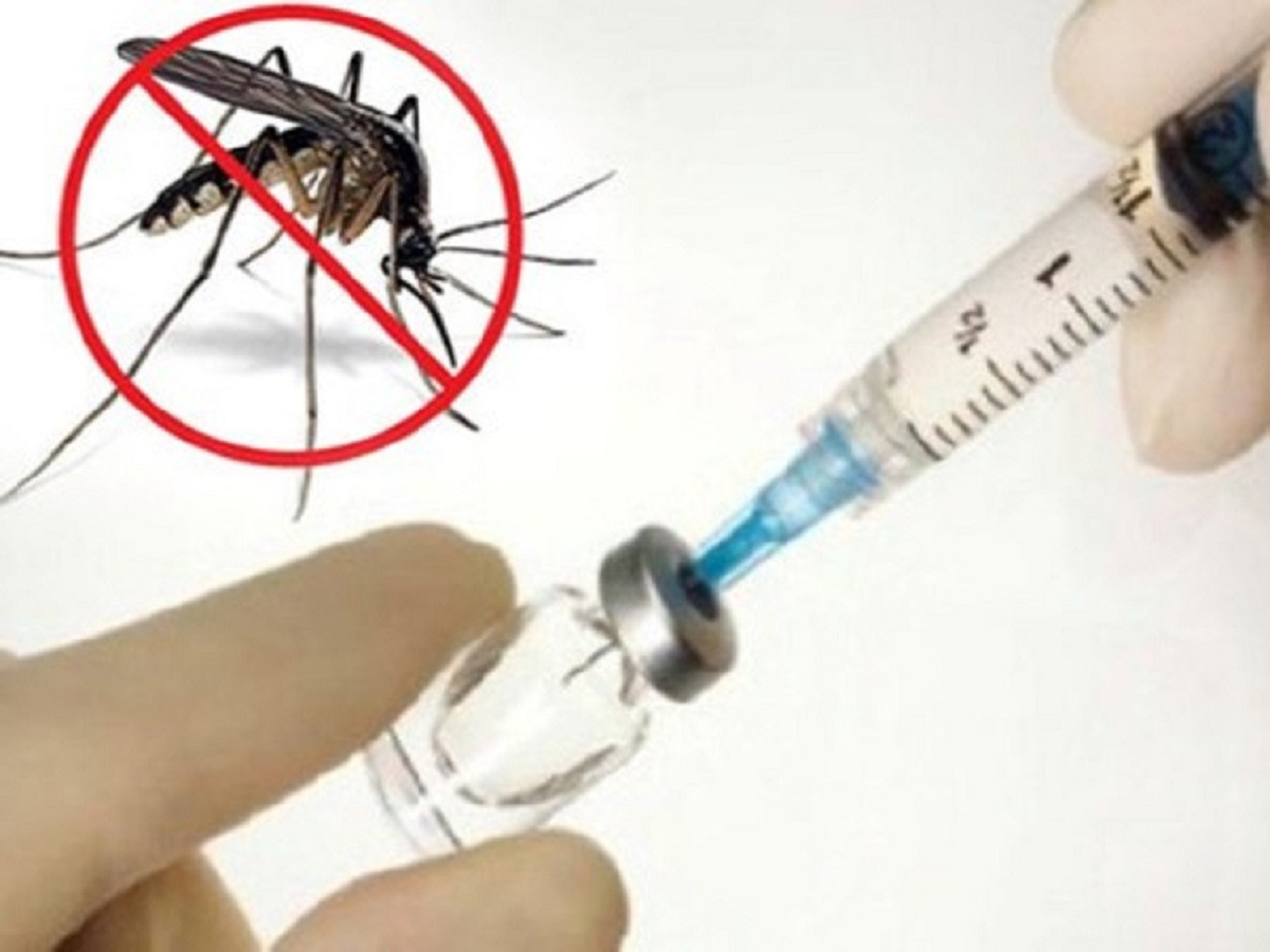 Sốt xuất huyết tăng “nóng” giữa mùa mưa, WHO khuyến nghị tiêm vắc-xin- Ảnh 1.