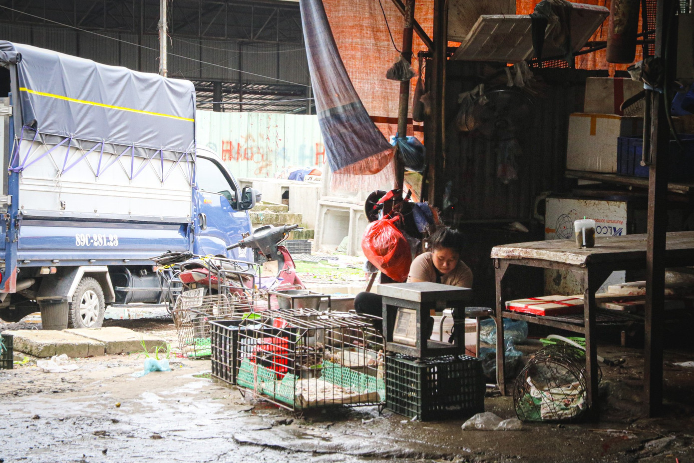 Nhếch nhác những điểm giết mổ gia cầm tại chợ dân sinh Hà Nội- Ảnh 15.