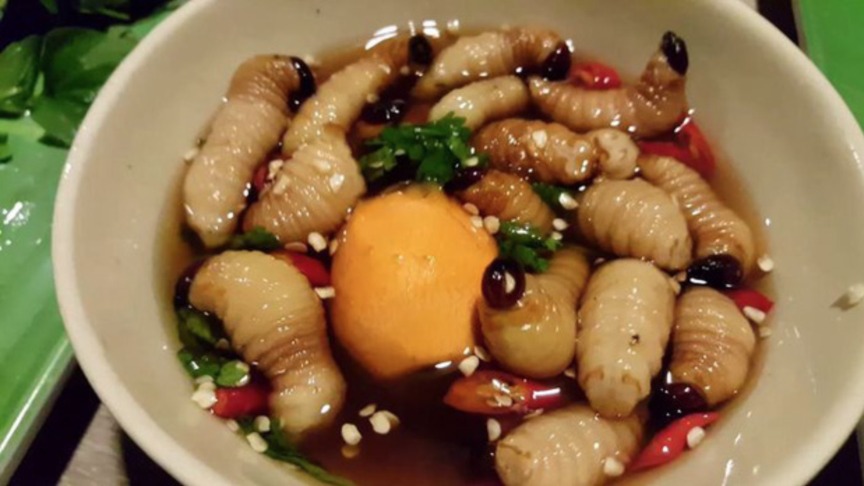 Những món ăn sống ám ảnh nhất Việt Nam: Có món là đặc sản lừng danh nhưng vẫn khiến nhiều người e sợ- Ảnh 2.