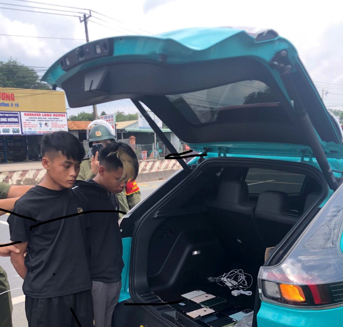 Bắt 2 anh em Đào Duy Hổ và Đào Duy Gấu- Ảnh 1.