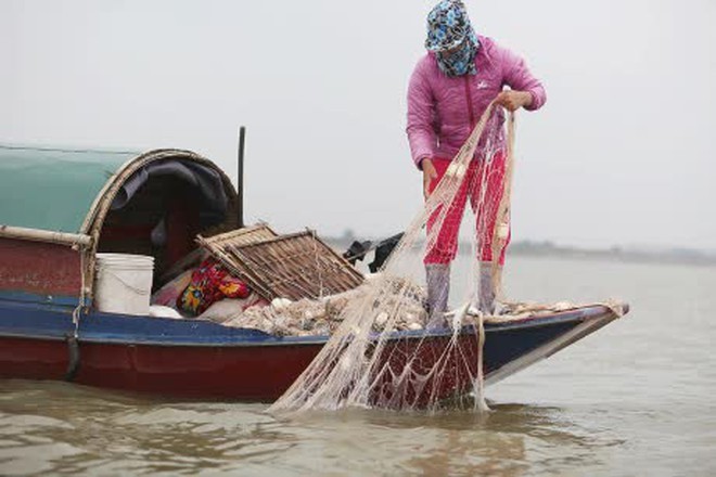 Loại cá được ví như "thuốc bổ từ biển", rẻ hơn cá hồi, cá ngừ nhưng nhiều chất không kém: Thịt béo, dễ nấu- Ảnh 3.