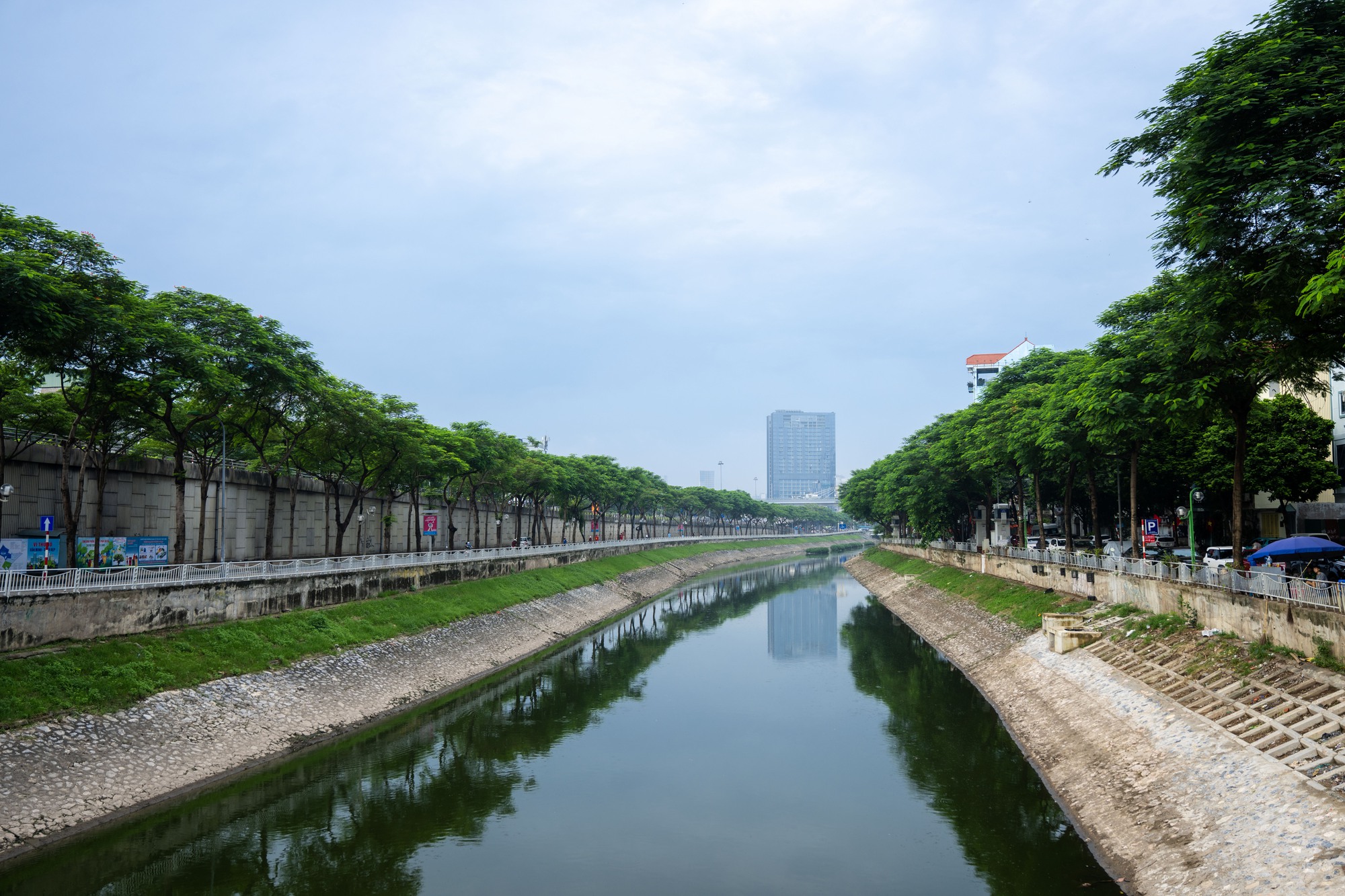 Cảnh tượng hiếm thấy: Sông Tô Lịch hóa xanh, cá bơi tung tăng giữa lòng Hà Nội- Ảnh 2.