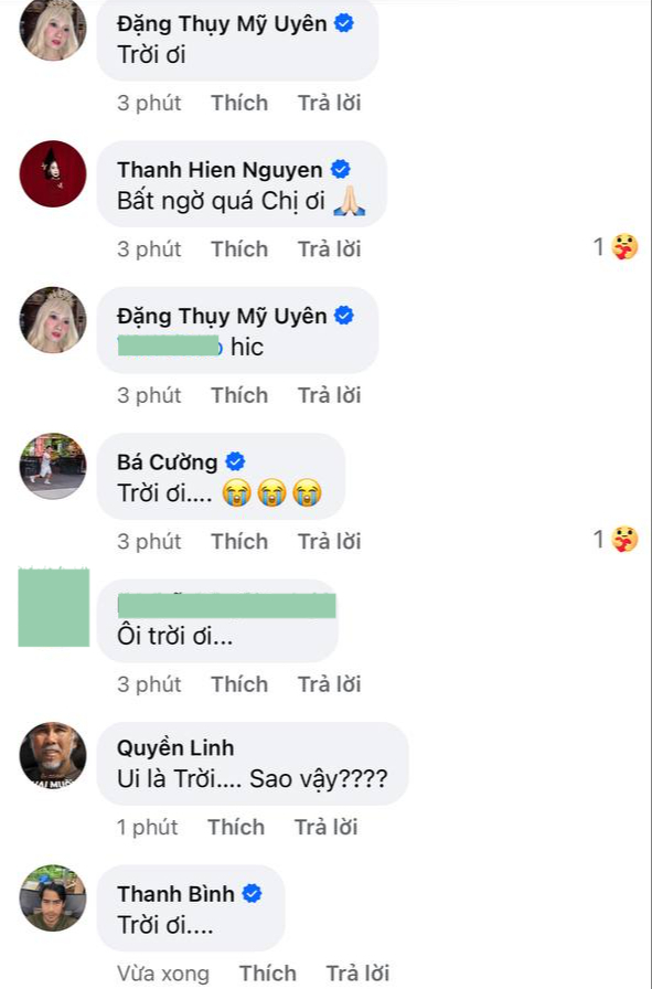 Diễn viên Ngọc Trinh qua đời: NS Thành Lộc và dàn sao bàng hoàng, Quyền Linh tức tốc chạy qua trong đêm- Ảnh 4.