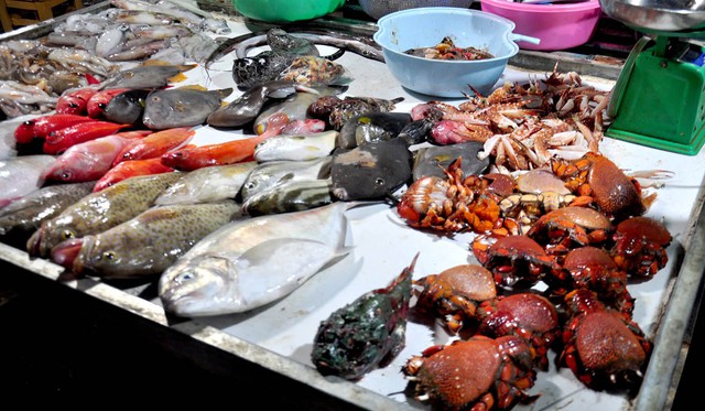 Người bán cá nói thẳng: “4 loại cá cho không cũng chẳng lấy, chỉ người không biết mới mua”- Ảnh 1.