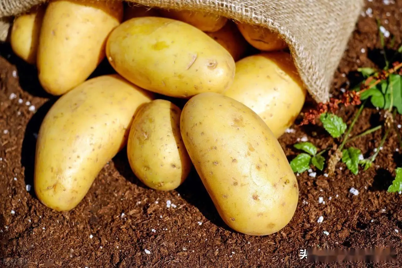 6 thực phẩm vàng cho hành trình giảm cân: Ngô gây bất ngờ khi lọt top nhờ ít calo và no lâu- Ảnh 3.