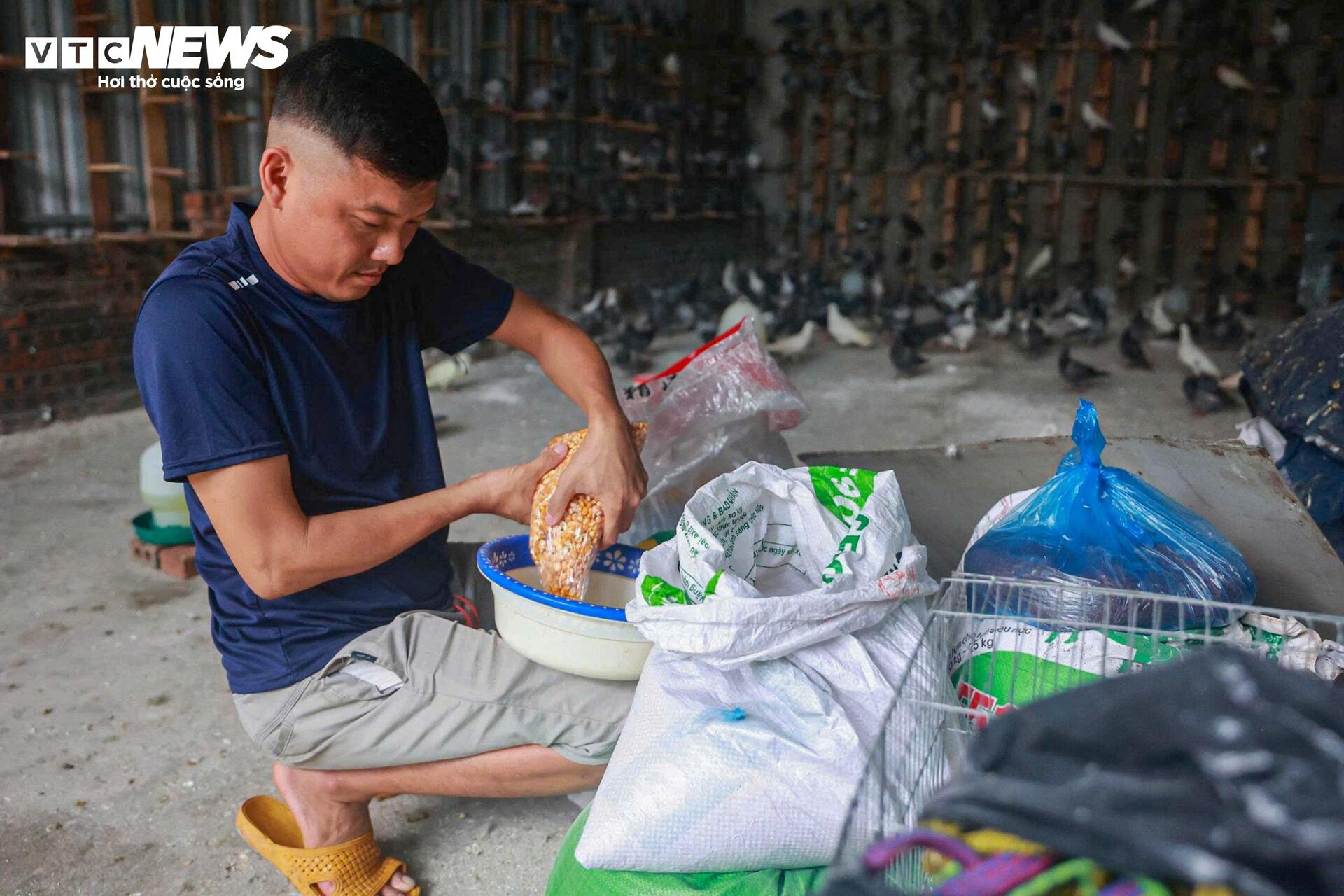 'Khối lông vũ' sẵn sàng tung cánh trên bầu trời Quảng trường Ba Đình ngày 2/9- Ảnh 7. 'Khối lông vũ' sẵn sàng tung cánh trên bầu trời Quảng trường Ba Đình ngày 2/9- Ảnh 7.
