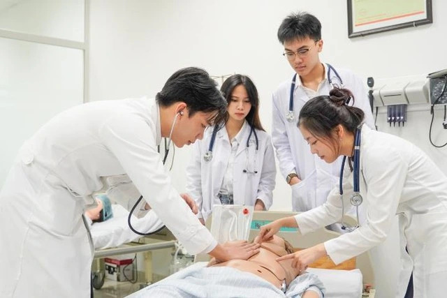 Bác sĩ nội trú là gì?- Ảnh 1.