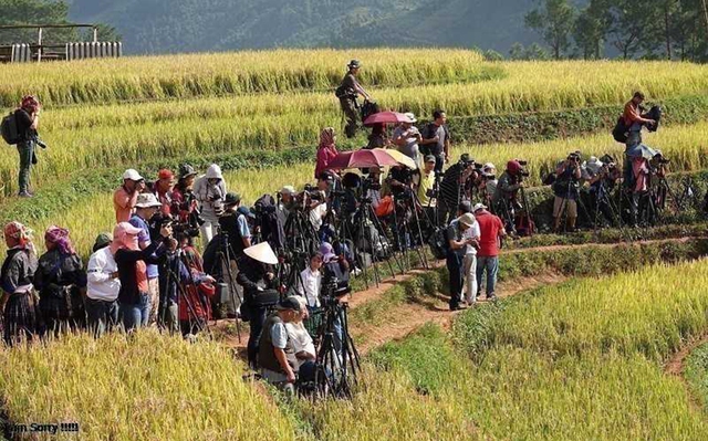 Ngọn đồi ở Mù Cang Chải là điểm ngắm mùa lúa chín siêu thực: Du khách nhận xét "Nhất định phải đến!"- Ảnh 4.