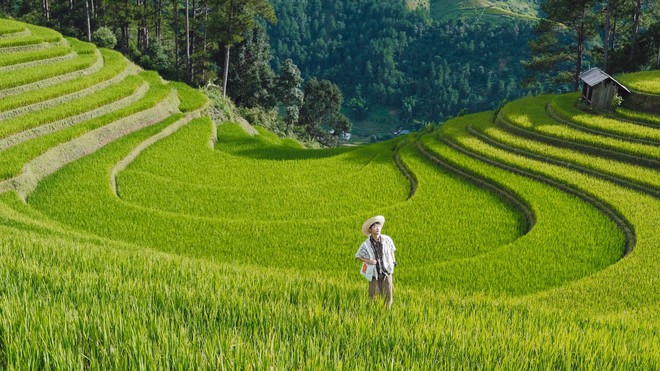 Ngọn đồi ở Mù Cang Chải là điểm ngắm mùa lúa chín siêu thực: Du khách nhận xét "Nhất định phải đến!"- Ảnh 5.