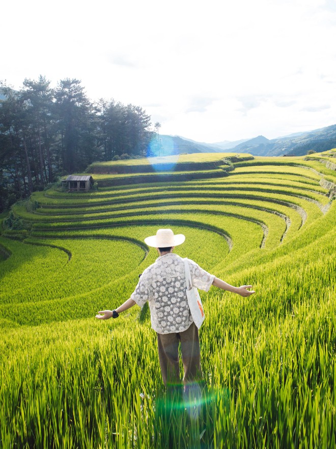 Ngọn đồi ở Mù Cang Chải là điểm ngắm mùa lúa chín siêu thực: Du khách nhận xét "Nhất định phải đến!"- Ảnh 6.