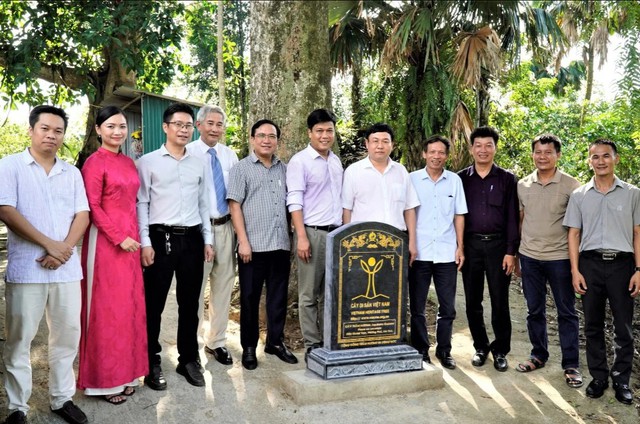 Hai "báu vật sống" hơn 200 năm tuổi ở Hà Tĩnh: Trị giá trăm tỷ, nay chính thức trở thành Di sản Việt Nam- Ảnh 1. Hai "báu vật sống" hơn 200 năm tuổi ở Hà Tĩnh: Trị giá trăm tỷ, nay chính thức trở thành Di sản Việt Nam- Ảnh 1.