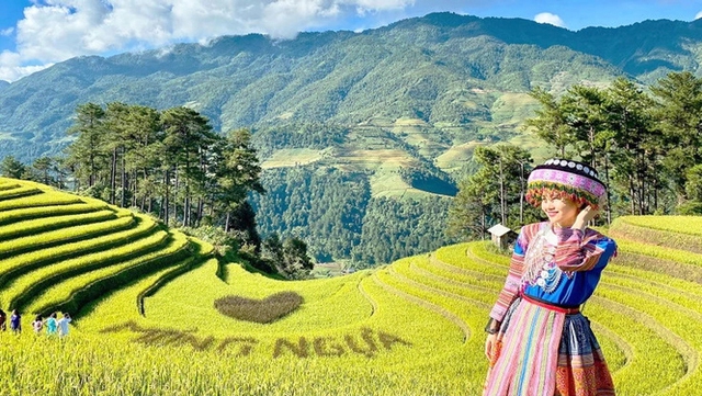Ngọn đồi ở Mù Cang Chải là điểm ngắm mùa lúa chín siêu thực: Du khách nhận xét "Nhất định phải đến!"- Ảnh 3.