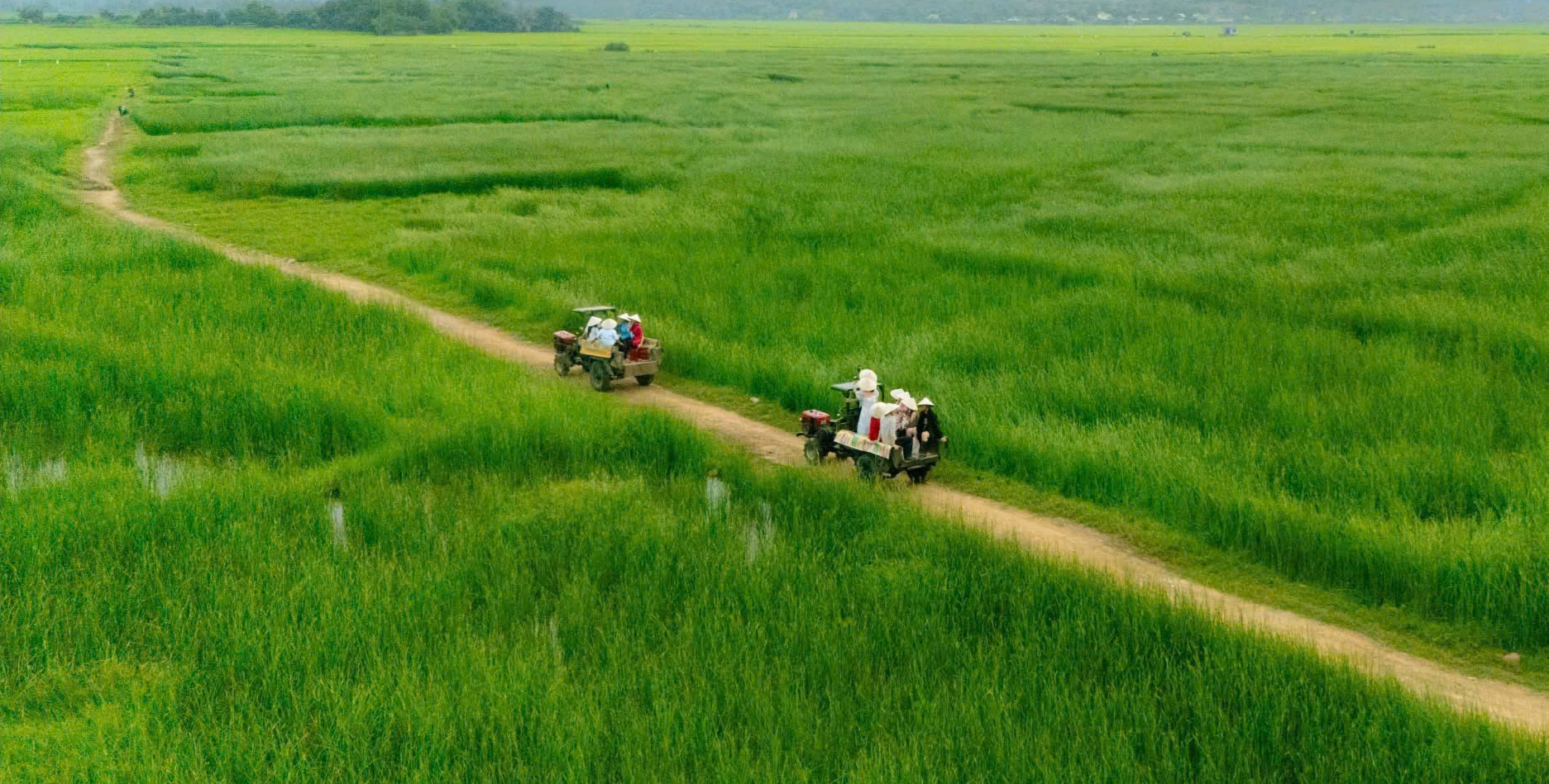 Du lịch số và du lịch xanh: 2 trụ cột phát triển du lịch bền vững- Ảnh 2.