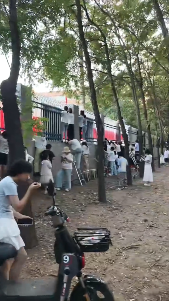 "Có nhất thiết phải thế này không?"- Ảnh 2.