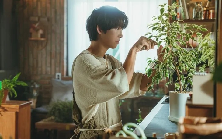Khán giả lạnh nhạt với phim mới của Song Joong Ki, netizen mỉa mai: Người đàn ông hai lần hôn nhân, giờ đóng phim lãng mạn xem thấy kì- Ảnh 3. Khán giả lạnh nhạt với phim mới của Song Joong Ki, netizen mỉa mai: Người đàn ông hai lần hôn nhân, giờ đóng phim lãng mạn xem thấy kì- Ảnh 3.