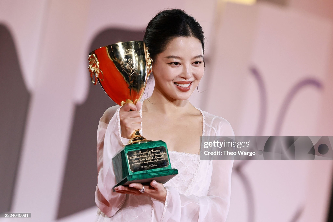Một năm buồn của Lưu Diệc Phi- Ảnh 3.