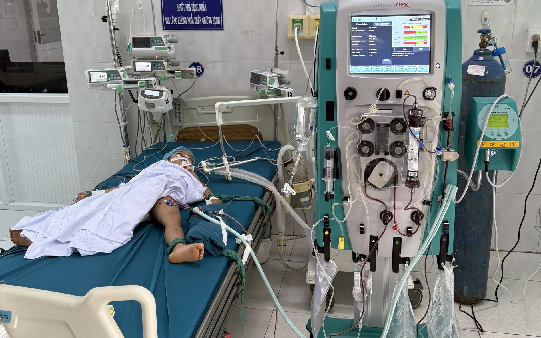 Gia Lai: Bị ong vò vẽ tấn công, 3 cháu nhỏ thương vong- Ảnh 1.