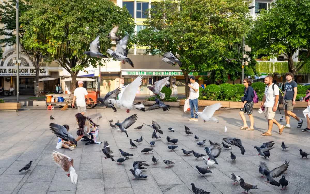 Du lịch Việt Nam 2025: Lập kỷ lục thu hút du khách nhờ chính sách thông thoáng và sự kiện quốc gia.