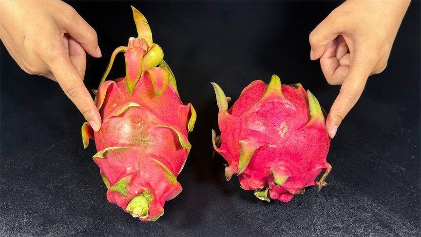Mua thanh long thấy quả dài - quả ngắn, ruột trắng - ruột đỏ? Chủ vườn chỉ cách chọn 