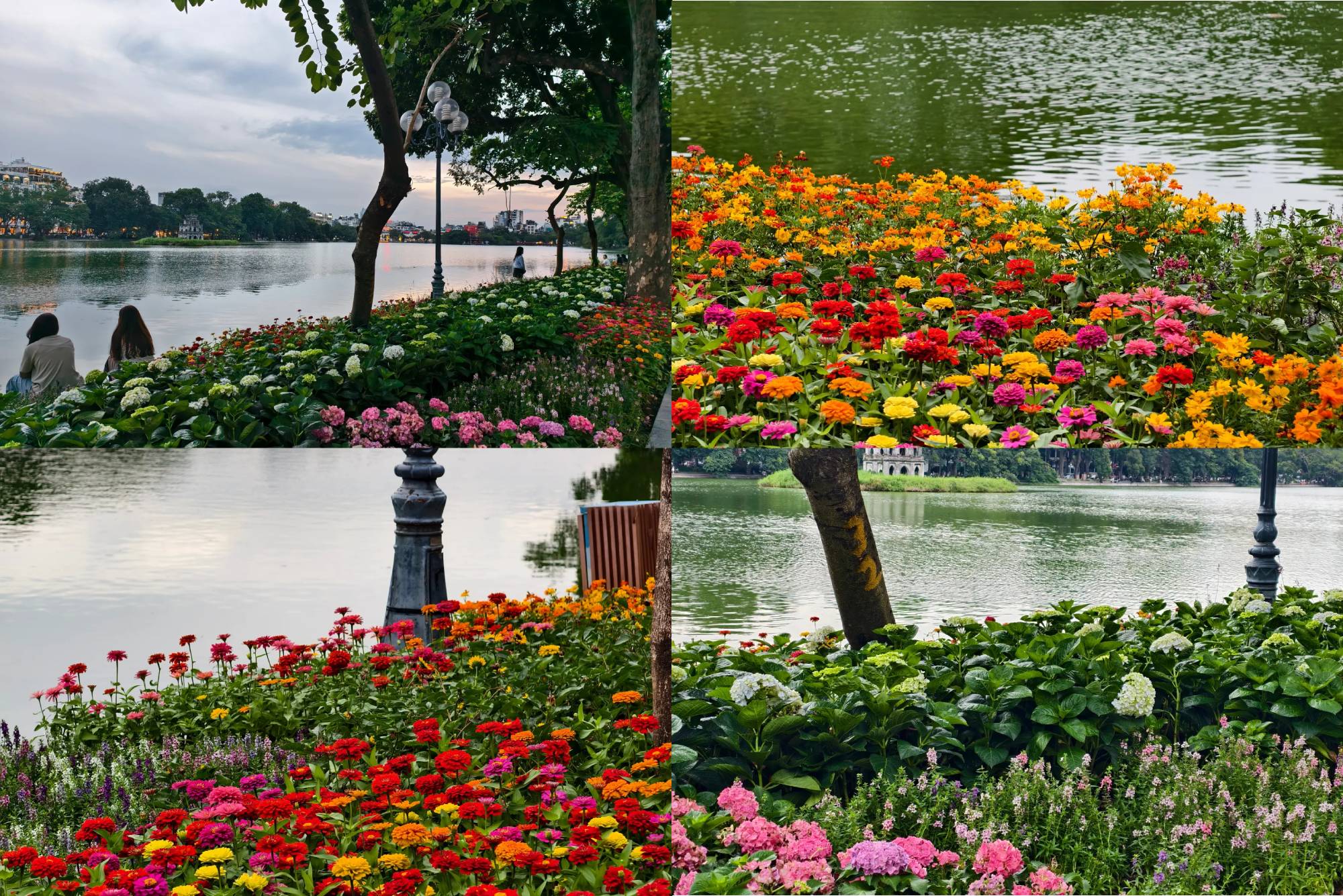 Địa điểm quen thuộc giữa Hà Nội bỗng "biến hình" đẹp như phim, các nàng thơ thi nhau chụp ảnh "cháy máy"- Ảnh 2.
