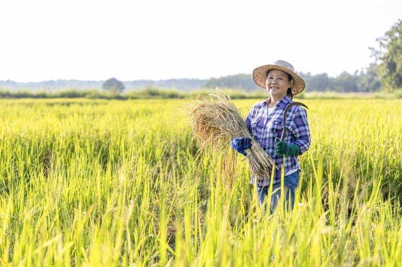 Ngày con trai tốt nghiệp bác sĩ nội trú, tôi như có thêm “một cuộc đời thứ 2”: Một người mẹ làm nông thành công!- Ảnh 1.