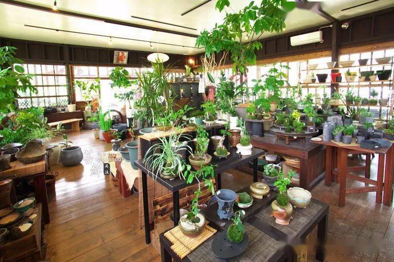 Hôm qua còn là Giám đốc, hôm nay đã thất nghiệp: Chức vụ càng cao, lúc ngã càng đau!- Ảnh 2.