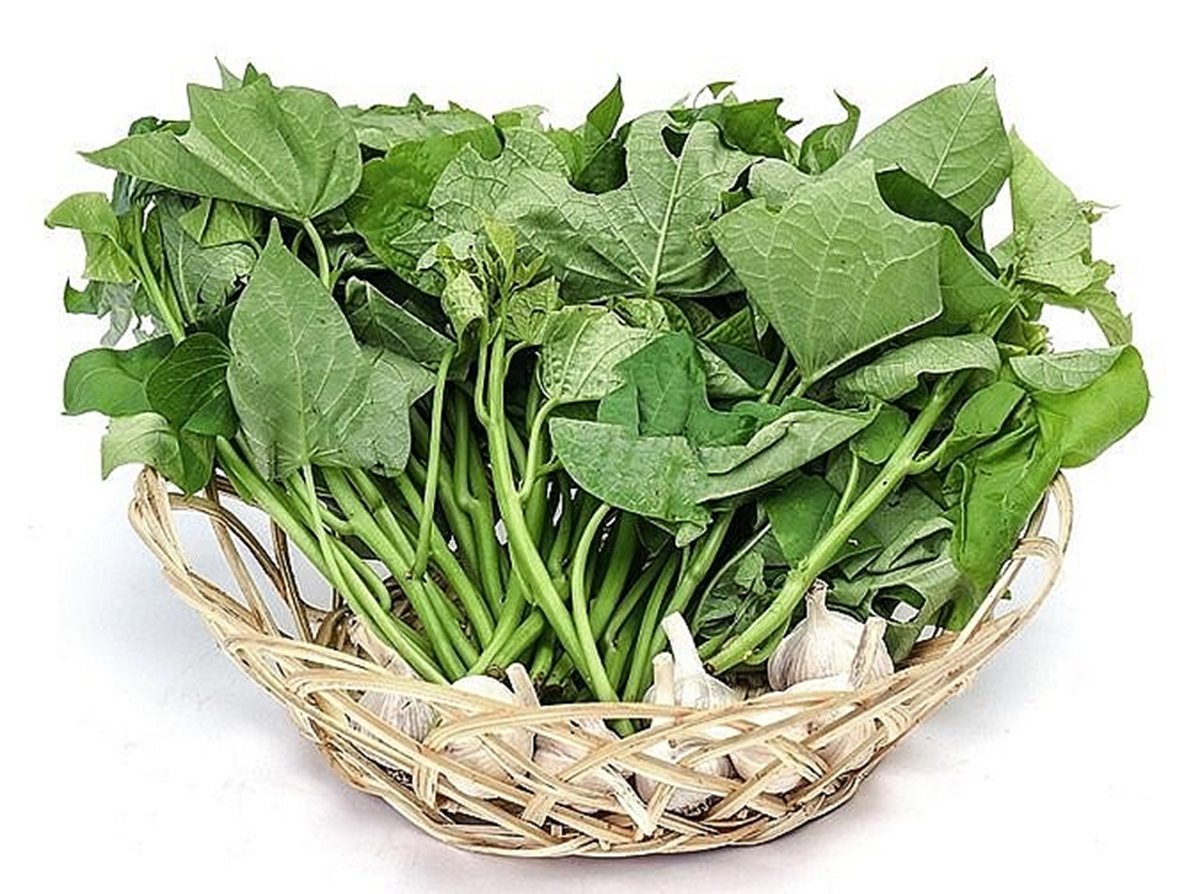 Loại rau xưa người Việt hay cho lợn ăn, nay "trời Tây" bán hơn 1 triệu/kg- Ảnh 1.