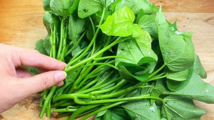 Loại rau xưa người Việt hay cho lợn ăn, nay "trời Tây" bán hơn 1 triệu/kg- Ảnh 3.