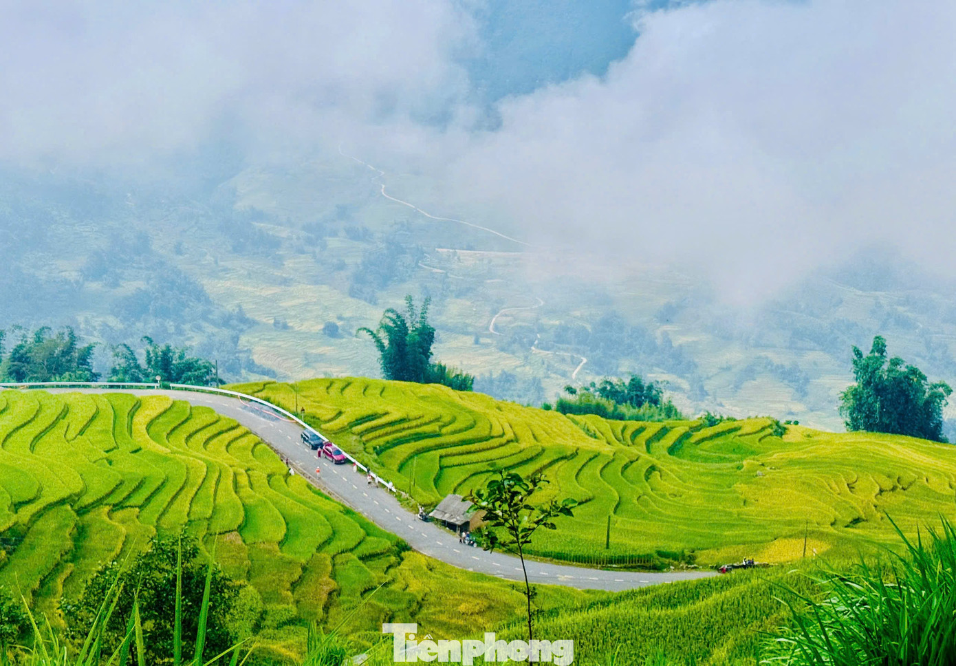 48 giờ săn mây, ngắm lúa, ăn gà ở Y Tý- Ảnh 1.