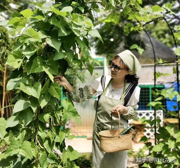 Từ giấc mơ châu Âu đến khu vườn 400m2: Người phụ nữ trung niên biến biệt thự thành thiên đường hoa bốn mùa- Ảnh 14.