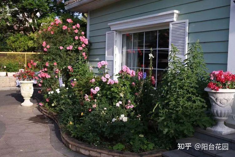 Từ giấc mơ châu Âu đến khu vườn 400m2: Người phụ nữ trung niên biến biệt thự thành thiên đường hoa bốn mùa- Ảnh 4.