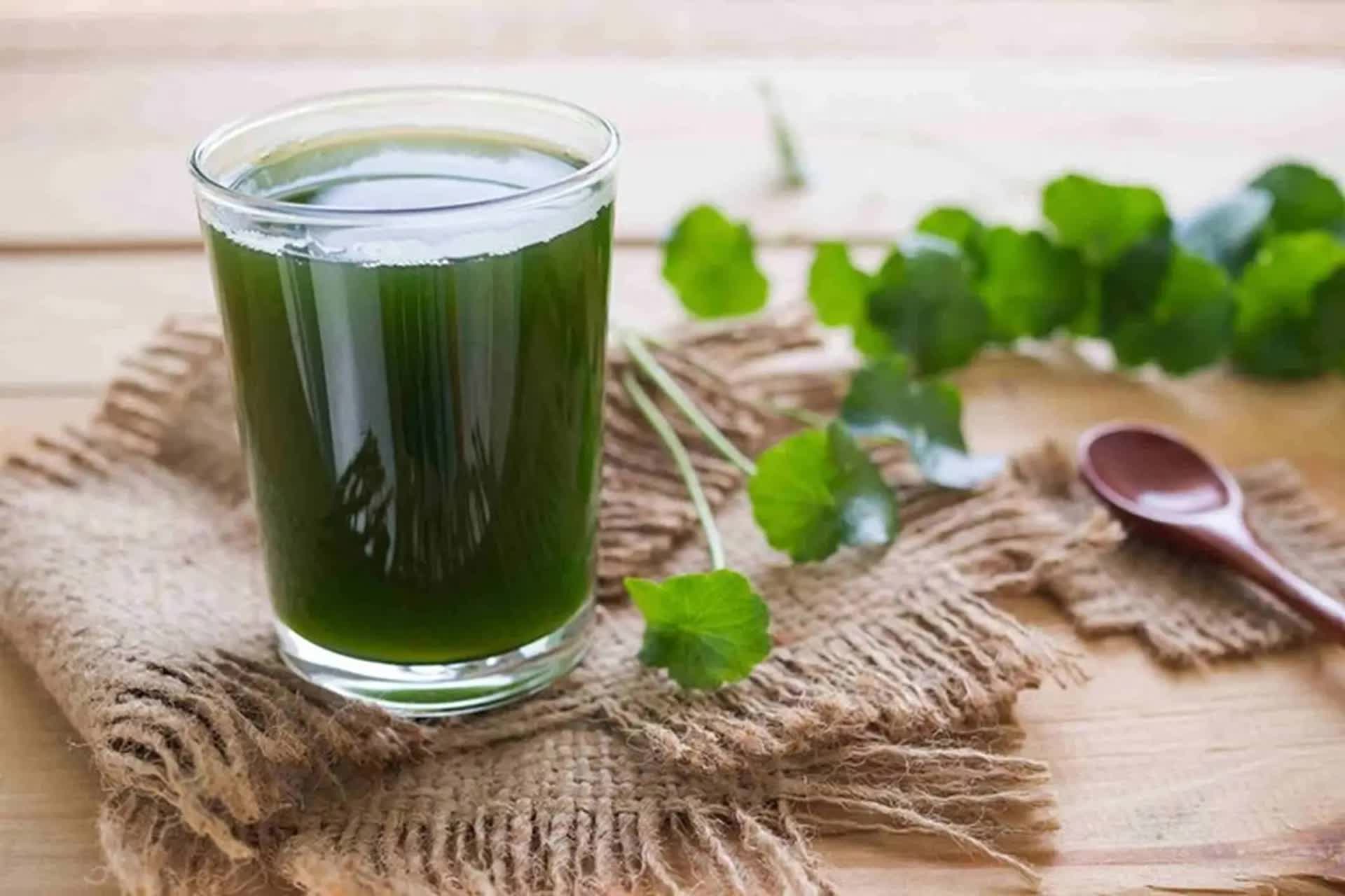 Phụ nữ uống nước rau má vào 