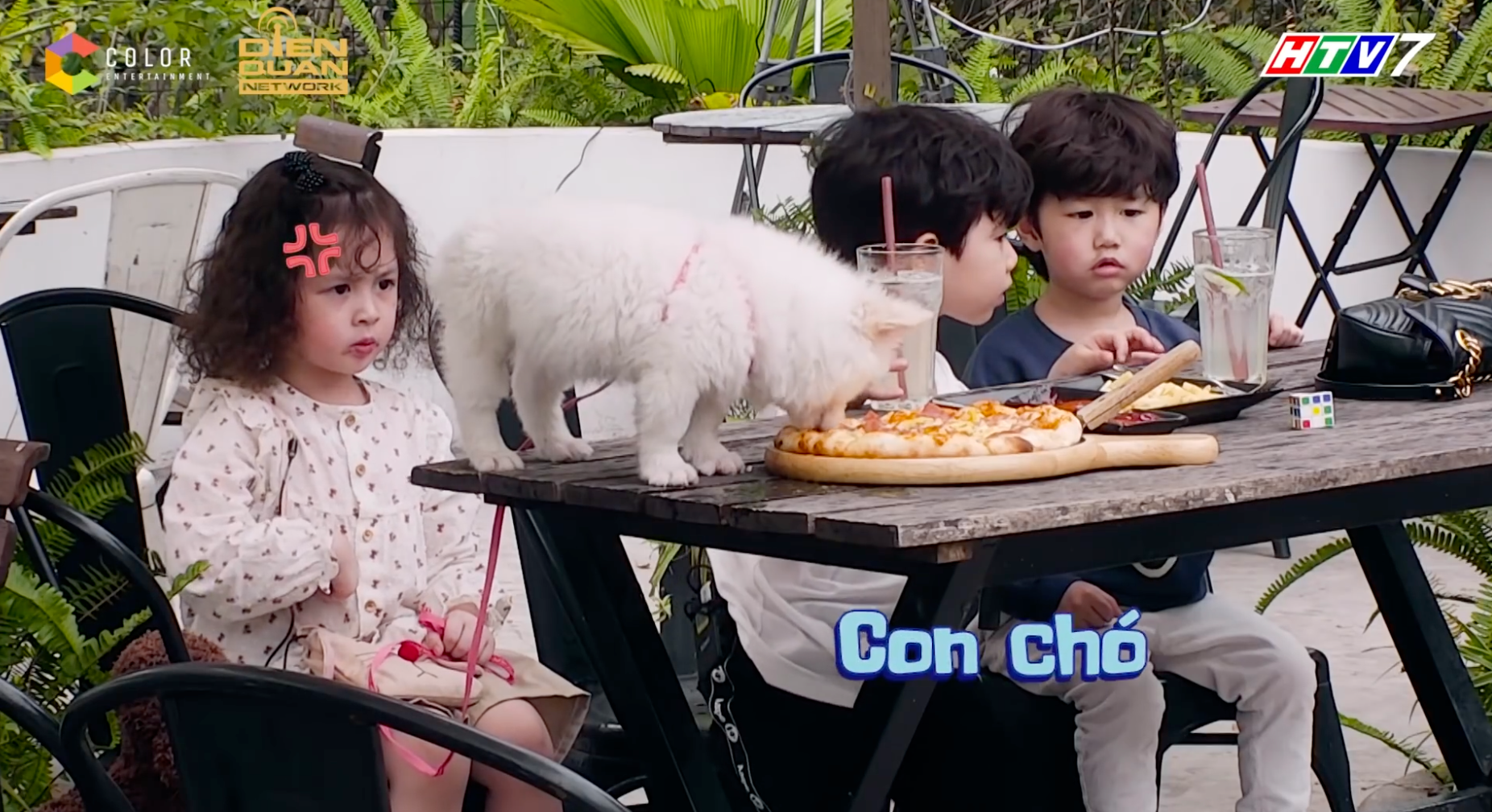 Bé Cam Cam nhà Kiên Hoàng - Heo Mi Nhon: Từ cô bé 