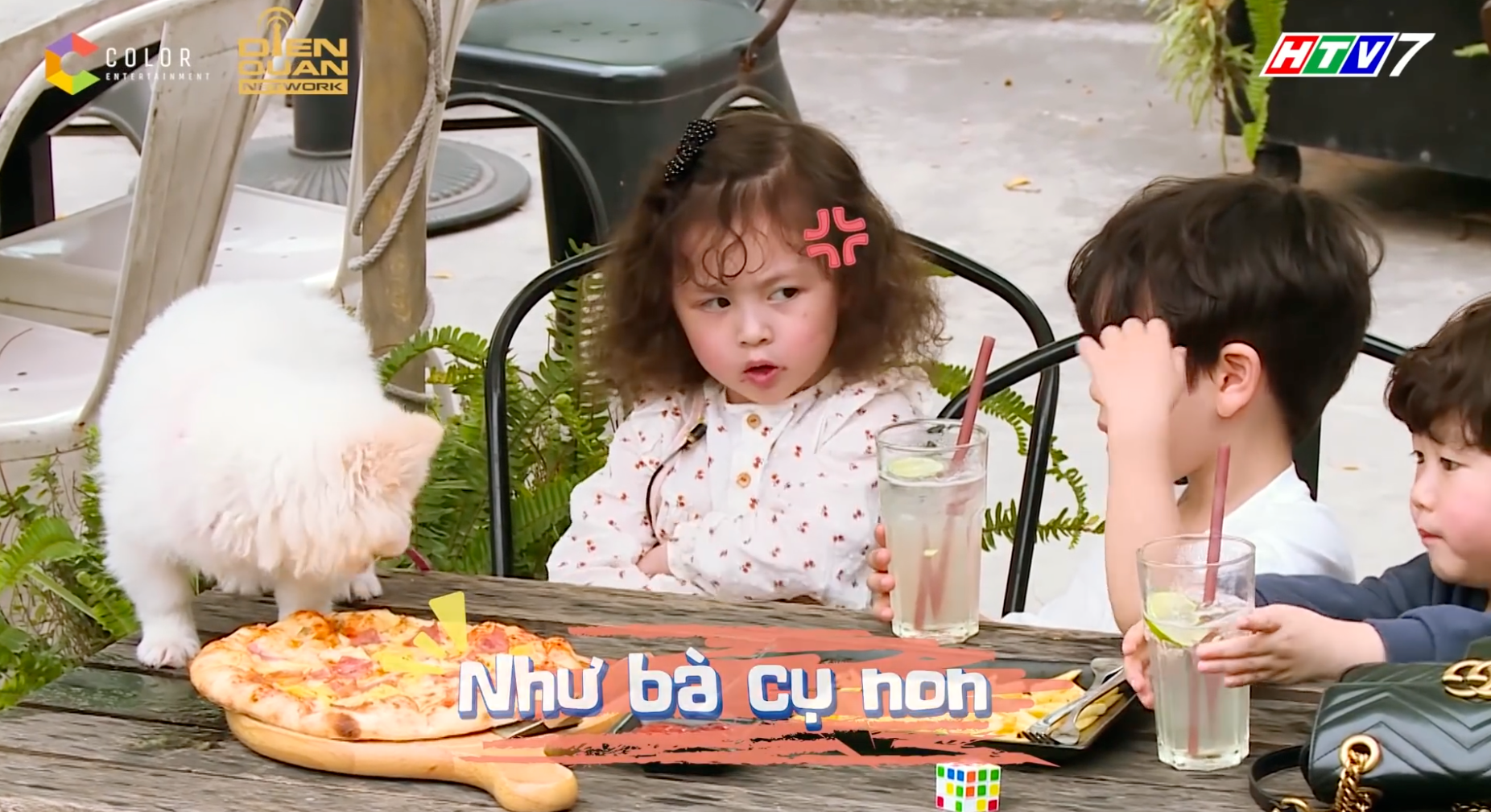 Bé Cam Cam nhà Kiên Hoàng - Heo Mi Nhon: Từ cô bé 