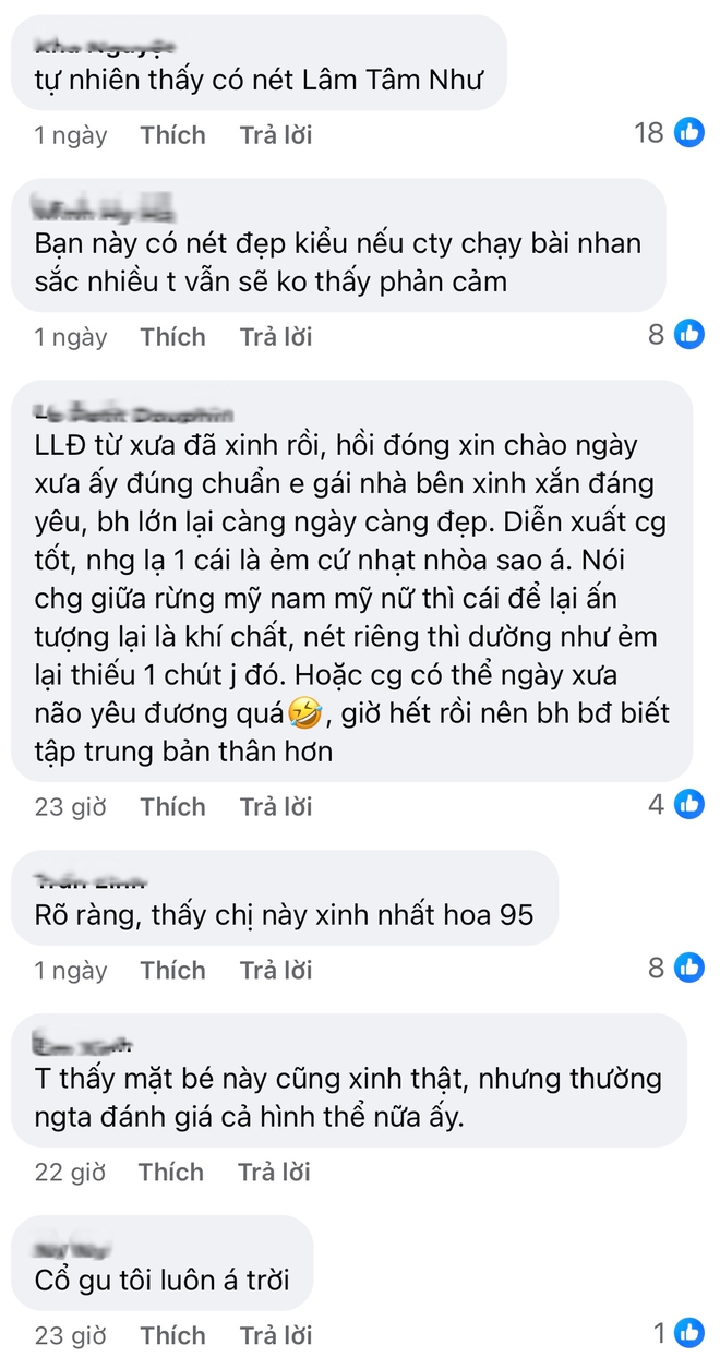 Nhan sắc gây tranh cãi của sao nữ xinh như Lâm Tâm Như thời trẻ- Ảnh 9.