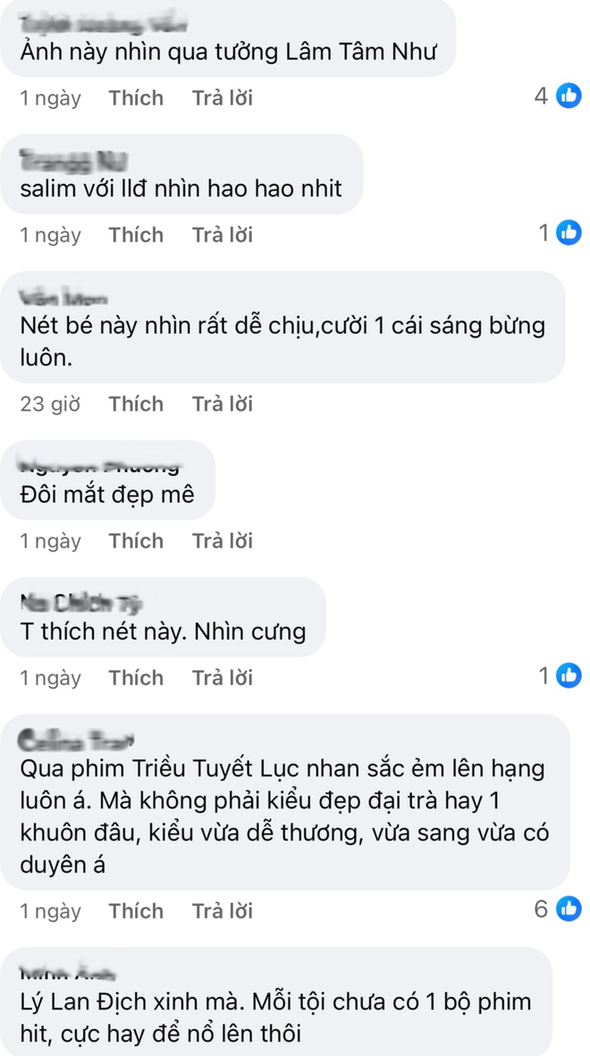 Nhan sắc gây tranh cãi của sao nữ xinh như Lâm Tâm Như thời trẻ- Ảnh 10.
