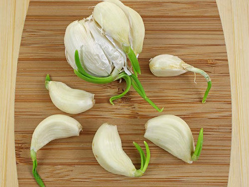Đừng bỏ lỡ: 3 loại rau củ rẻ tiền nhưng là 