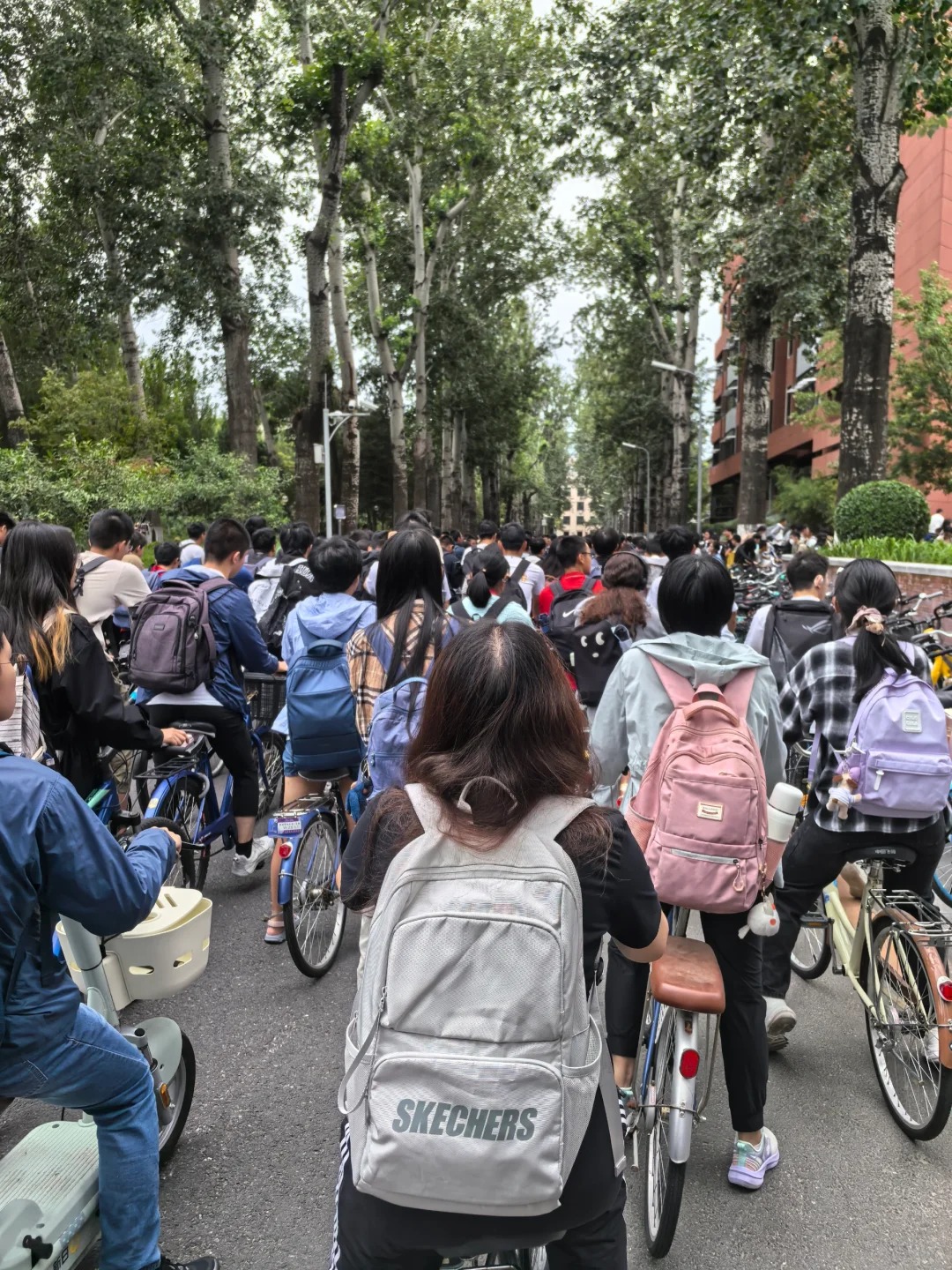 Ở đây tắc đường nhưng ai cũng muốn lao vào- Ảnh 5.