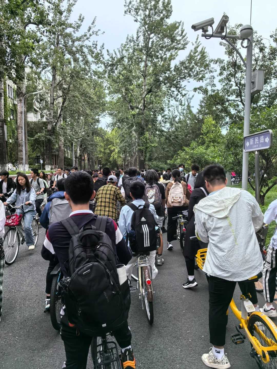 Ở đây tắc đường nhưng ai cũng muốn lao vào- Ảnh 4.