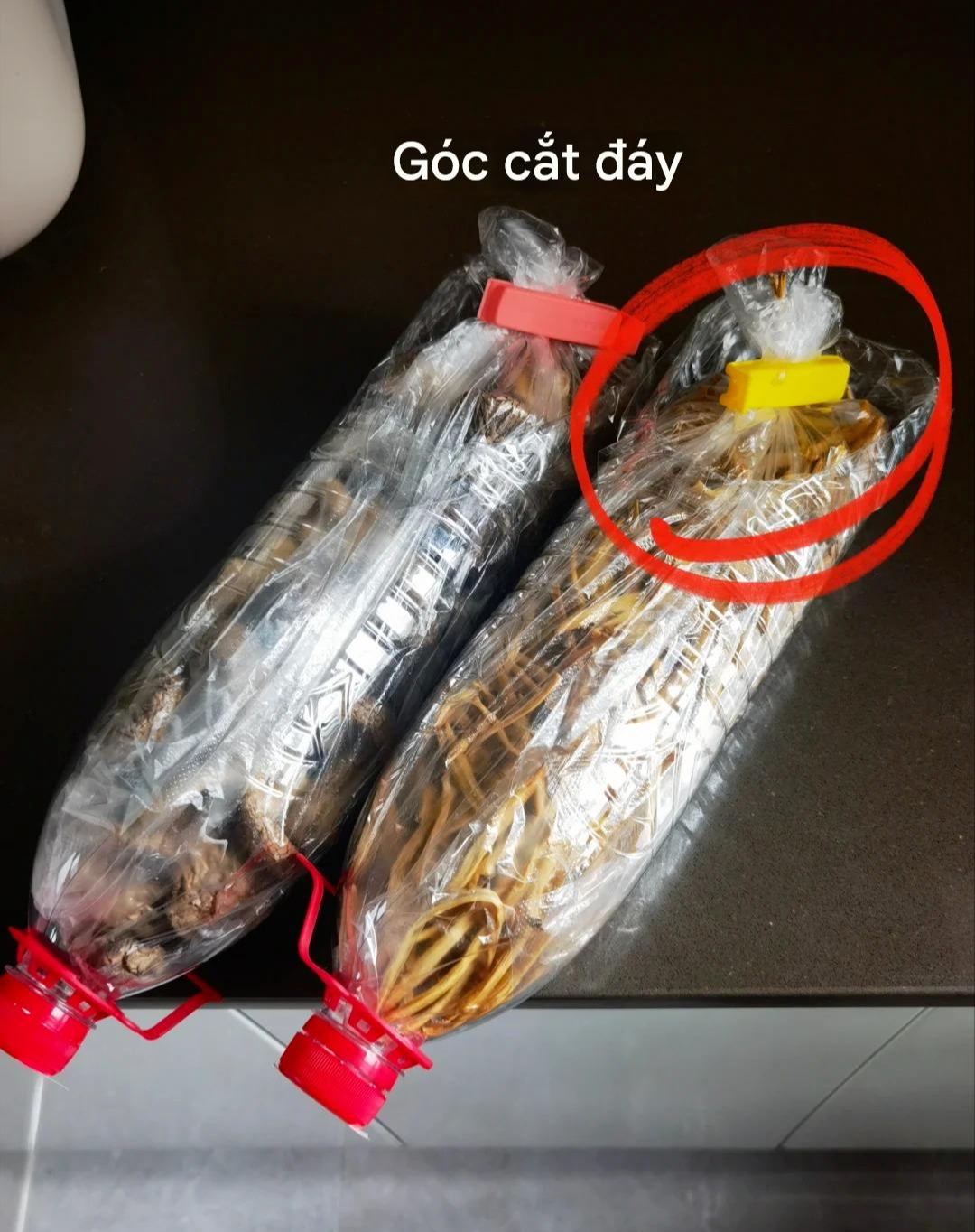 Mẹ tôi 55 tuổi: Học thức không cao nhưng tinh tường hơn sách vở, có 9 chiêu 