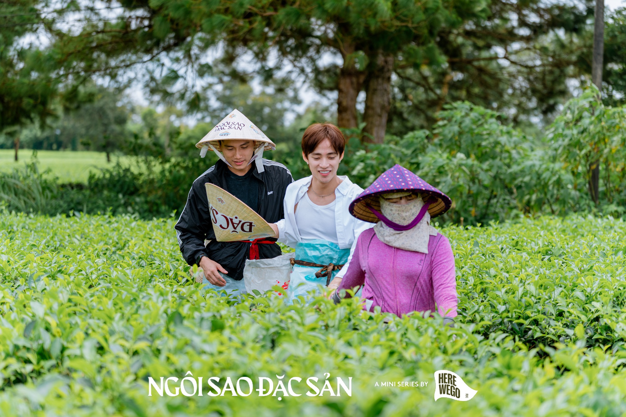 Ngôi Sao Đặc Sản: Hành trình qua ba miền, nơi món ăn kể chuyện và văn hóa cất lời- Ảnh 16.