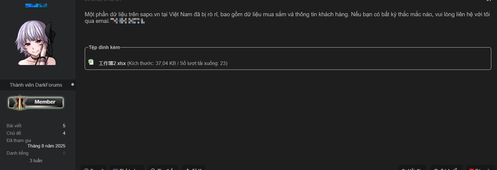 Hacker rao bán dữ liệu của Giao Hàng Nhanh và Sapo trên "web đen"- Ảnh 2.