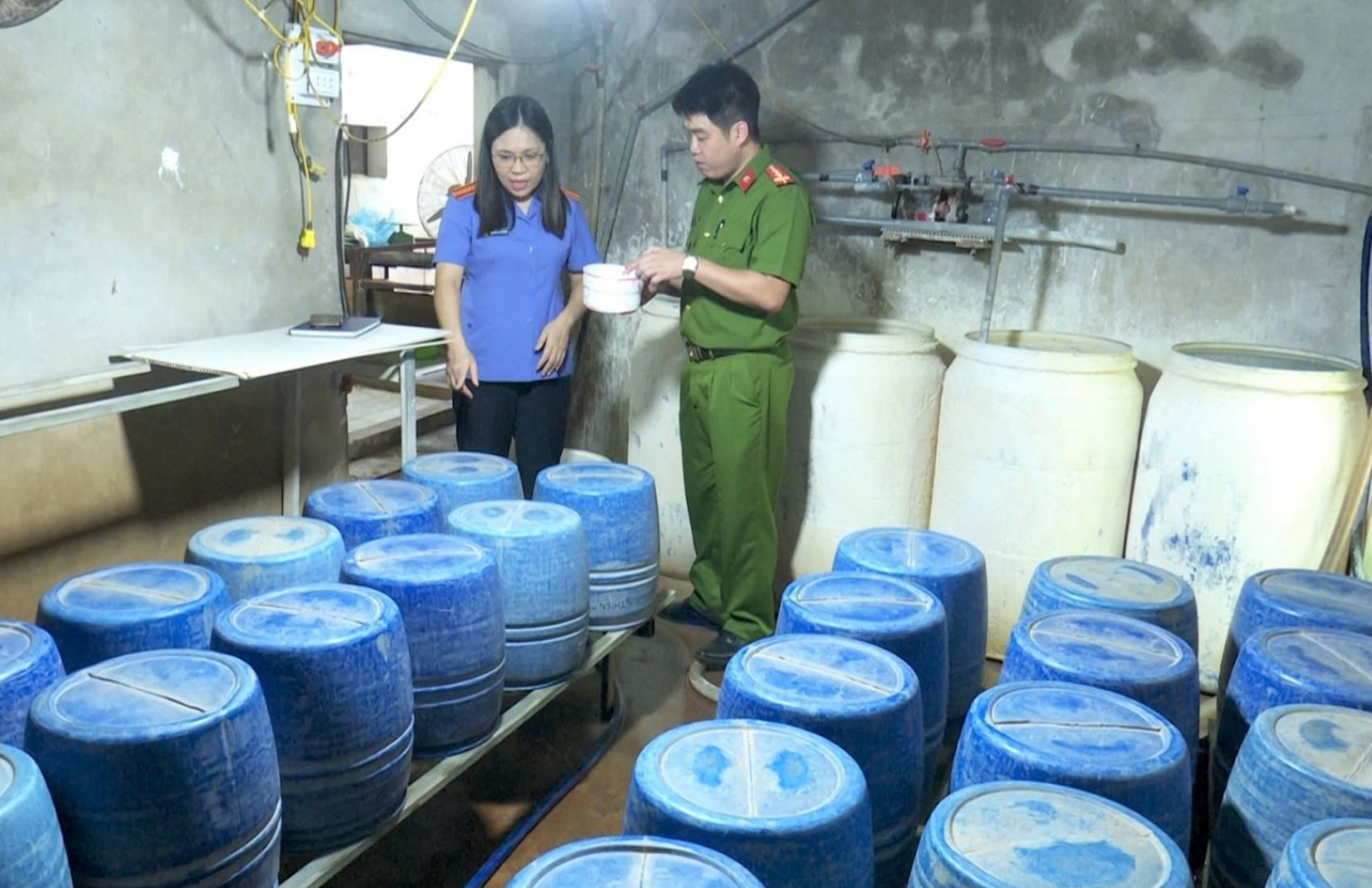 Khởi tố người phụ nữ dùng hóa chất sản xuất 1,4 tấn giá đỗ- Ảnh 1.
