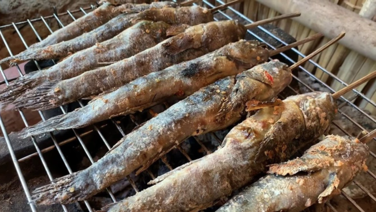 Loài sinh vật kỳ lạ nhất hành tinh có mặt ở miền Tây, ai ngờ lại thành món đặc sản "phá mồi"- Ảnh 2.