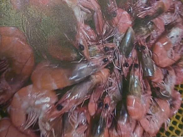 Làm rõ thông tin tố cáo "nhập thực phẩm bẩn vào trường tiểu học ở Đà Lạt" gây xôn xao mạng xã hội- Ảnh 1.