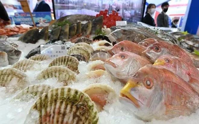 Hải sản sống dễ bị nhiễm vi khuẩn ăn thịt người Vibrio vulnificus (Ảnh: Tân Hoa Xã)