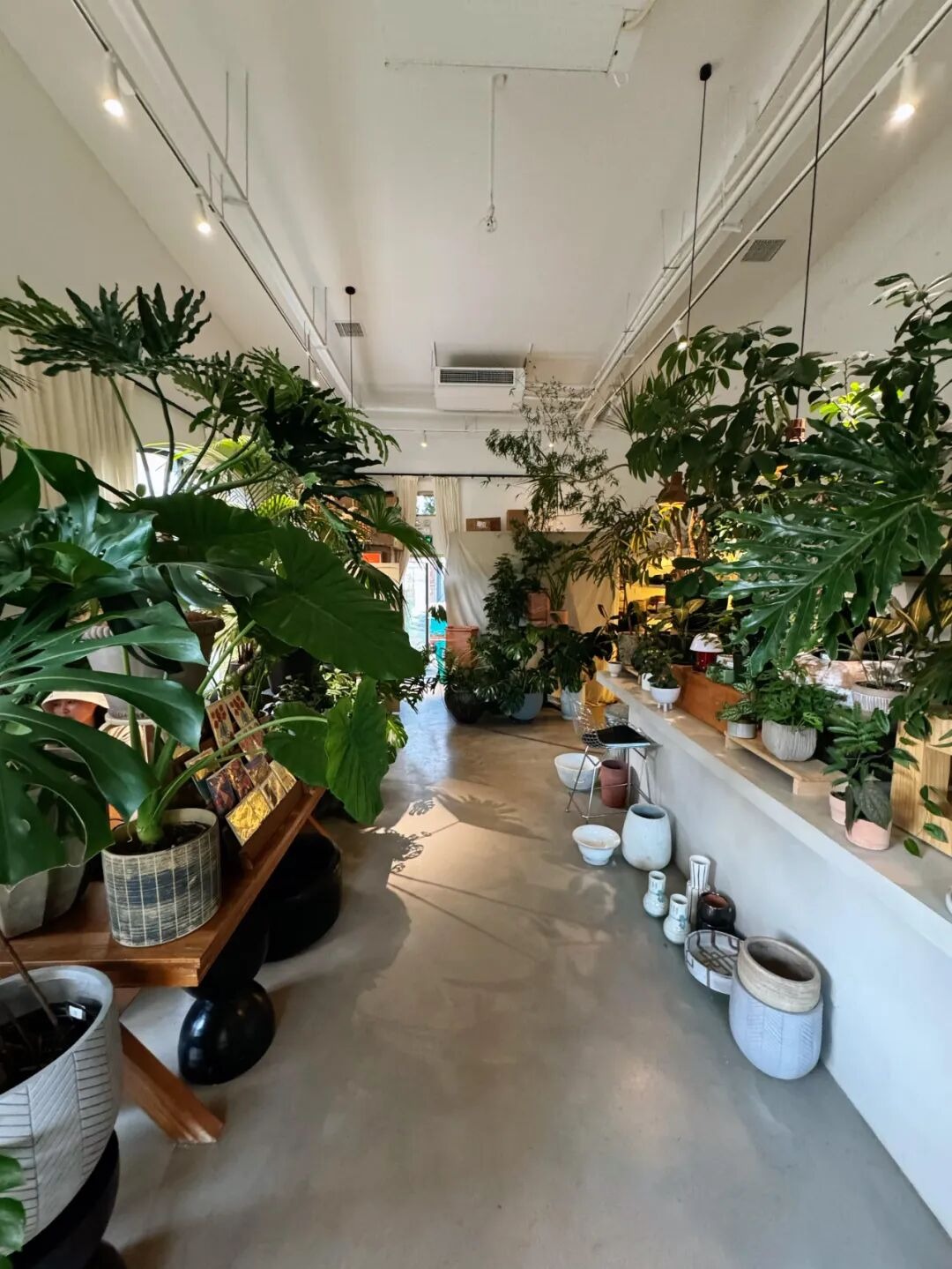 Có 6 thứ càng mua càng khổ: Nhà cửa chật không còn chỗ thở, ví tiền chưa đầy đã rỗng tuếch- Ảnh 5.