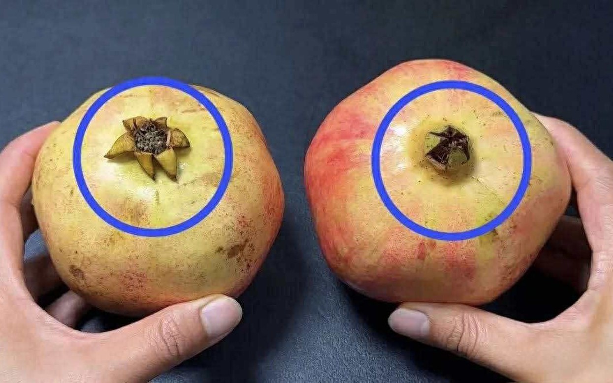 Mua lựu, cứ học thuộc "mẹo nhỏ" này là biết ngay là ngọt hay không- Ảnh 1.