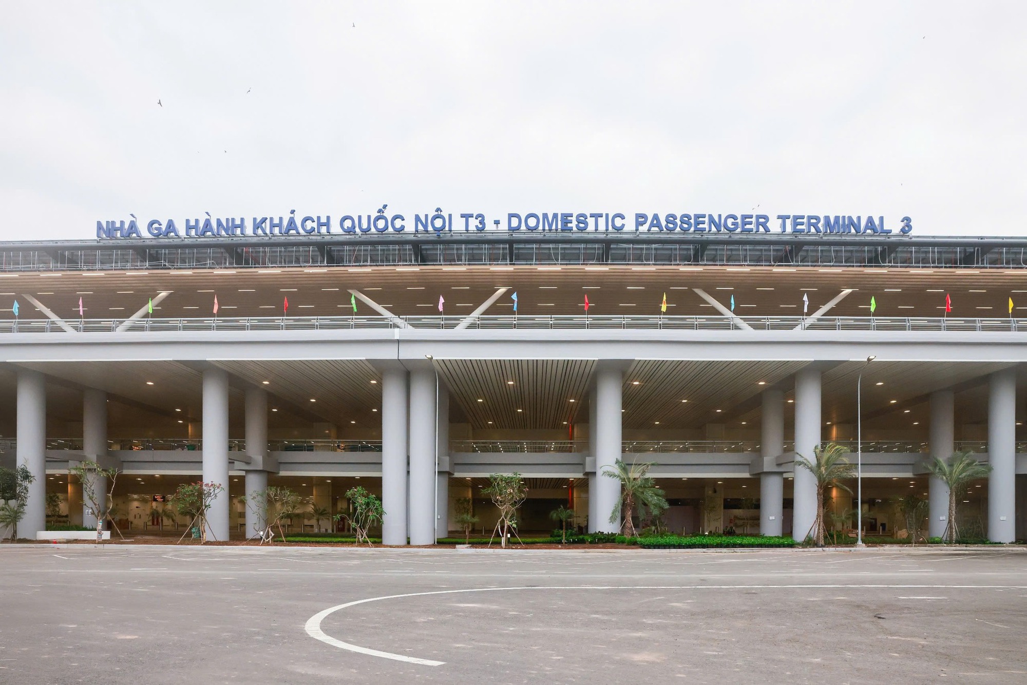 Sai lầm khi đi nhầm hướng trong nhà ga T3 Tân Sơn Nhất sẽ khiến bạn bị lỡ mất luôn chuyến bay- Ảnh 1.